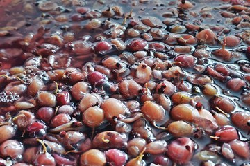 The process of  berry wort fermentation for making wine
