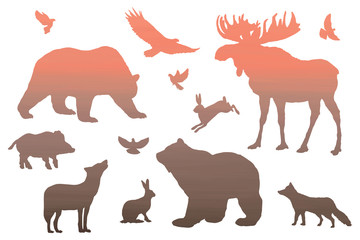 Wild forest animals sunset- silhouettes, elements set white isolated. Basis graphics