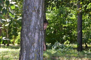 Boy hiding behind a tree in the Park, playing hide and seek.