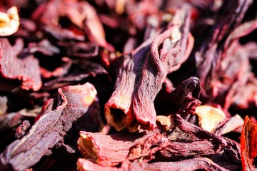 Macro close up of pile with red dried hibiscus flower blossoms in bright natural light
