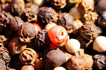Macro close up of isolated pile with mixed peppercorns