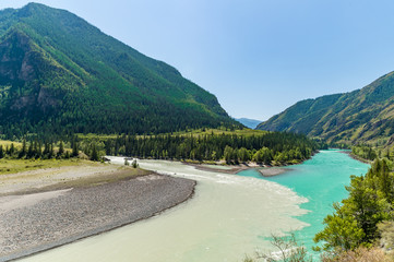 Katun' and Argut river mixing