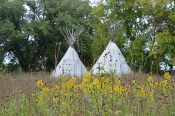 Tipis in the field © Kari