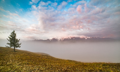 morning fog