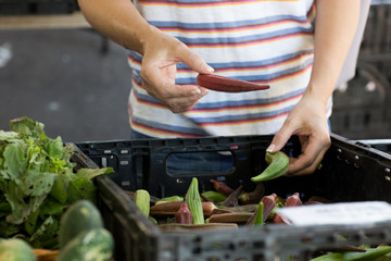 Mexican woman holding fruit or vegetable at local farmers market