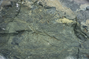 Close up of a sea rock texture