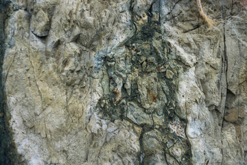 Close up of a sea rock texture