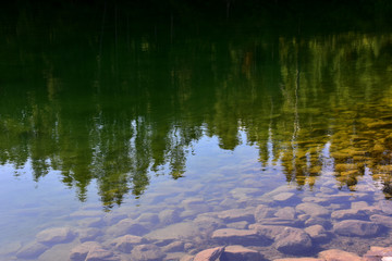 Reflections of forest in the calm water of Johnson lake, Banff, Alberta, Canada.