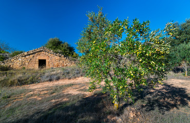 Cabanes de Volta, Construcción rural de piedra en seco, Valle del Set, Les Garrigues, Lleida,...
