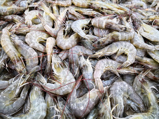 Top view of fresh shrimps or prawns in the market.