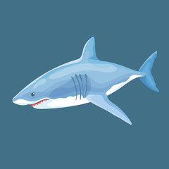 Vector Illustration Of Real Shark Swims Isolated