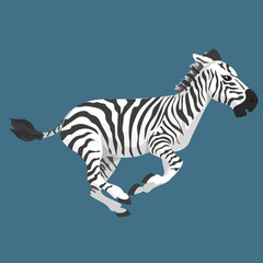Fototapeta na wymiar Vector Illustration Of Fright Zebra Run Isolated