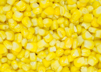 Closeup top view yellow corns texture background