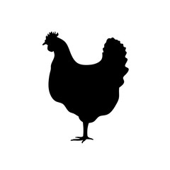 Farm animal silhouette in black on a white background ,Silhouettes hen isolated on white vector