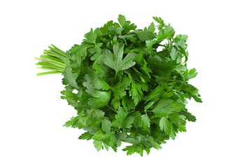 Fototapeta premium Parsley herb bunch