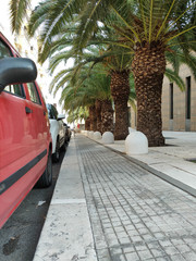 direct car street with palm trees