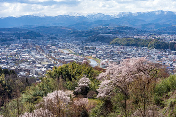Obraz premium 桜が咲く春の卯辰山・見晴らし台からの眺め