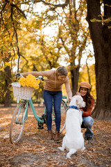 Fototapeta premium Two female friends walking in the yellow autumn park with dog and bicycle