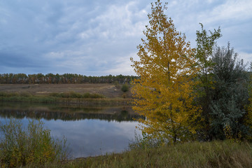 A quiet autumn dawn over the lake in sunlight. The birches were covered with Golden leaves.