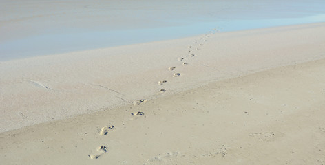 Footprints on the Beach