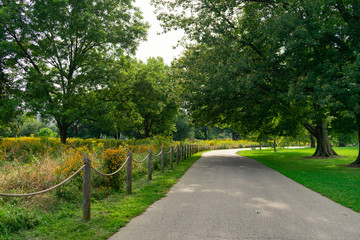 Chicago Lakefront Trail at a Park in Uptown Chicago with a Rope Fence and Plants with Sunlight