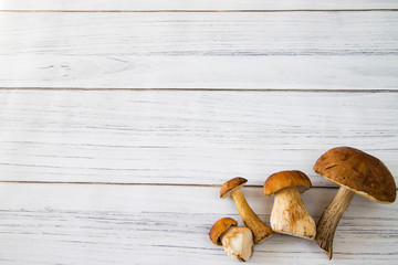 Grzybki na białych deskach  © andsko
