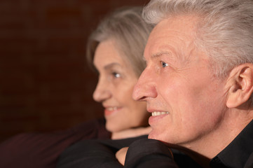 Portrait of happy beautiful Senior couple posing at home