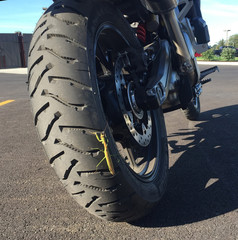 Praying Mantis on a motorcycle tire