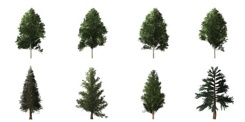 Fototapeta premium Collection of isolated trees on white background