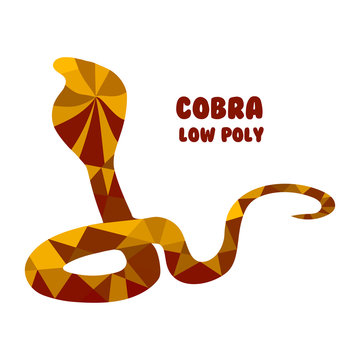 Cobra. polygonal vector illustration isolated on white background. Low Poly
