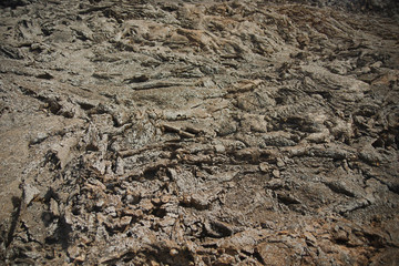 Lanzarote