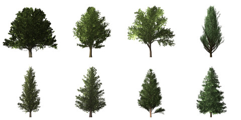 Collection of isolated trees on white background