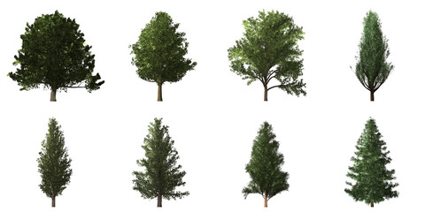 Collection of isolated trees on white background
