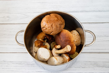 Grzyby zebrane w garnku © andsko