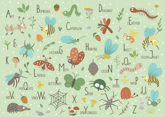 Woodland alphabet for children. Cute flat ABC with forest insects on green background. Horizontal layout funny poster for teaching reading on white background..