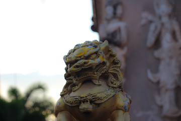 Fototapeta na wymiar statue of lion