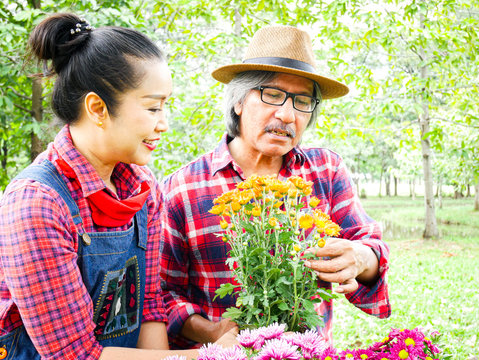 Older Couples Are Planting Flowers On Holidays In The Public Park.