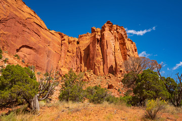 Fototapeta premium Sheer Sandstone in Long Canyon