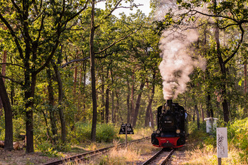 A small steam locomotive in the forest, Narrow gauge railway in the forest, German narrow-gauge railway
