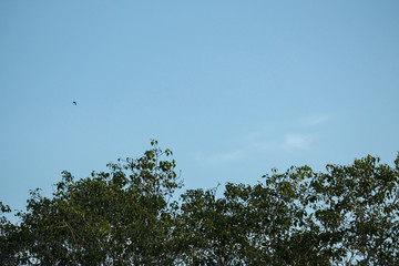 Nature view by the sea Thailand