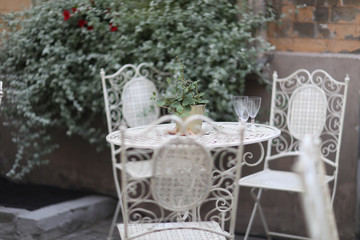 Ornamental plant in a metal bucket and three wine glasses on a table from a set of garden furniture
