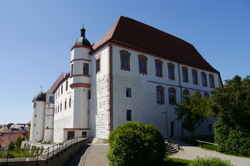 Fototapeta na wymiar Schloss und Schlosspark in Dillingen