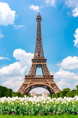 Eiffel Tower and spring tulips on Field of Mars, Paris, France