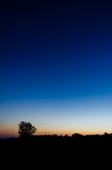 Obraz premium beautiful night sky background