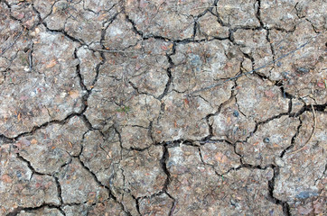 dry cracked earth, background image