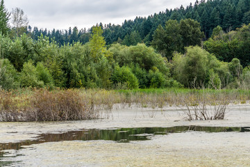 Wildlife Refuge Wetlands 6