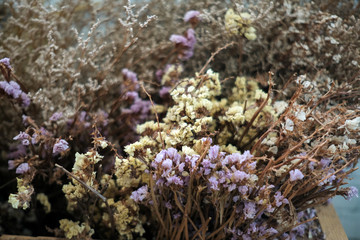 Fototapeta na wymiar Multi color dried flowers
