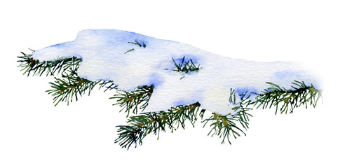 Picture of a snow-covered spruce branch hand drawn in watercolor isolated on a white background
