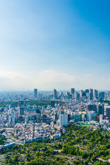Fototapeta premium Sceneria Tokio Panoramę miasta Tokio, Japonia.
