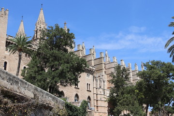 Fototapeta premium Kathedrale von Palma